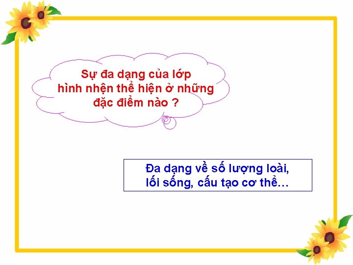 Sự đa dạng của lớp hình nhện thể hiện ở những đặc điểm nào