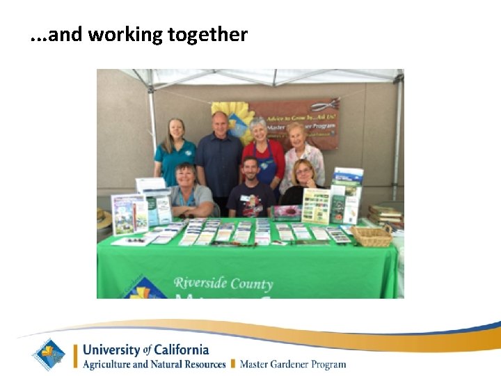 . . . and working together 