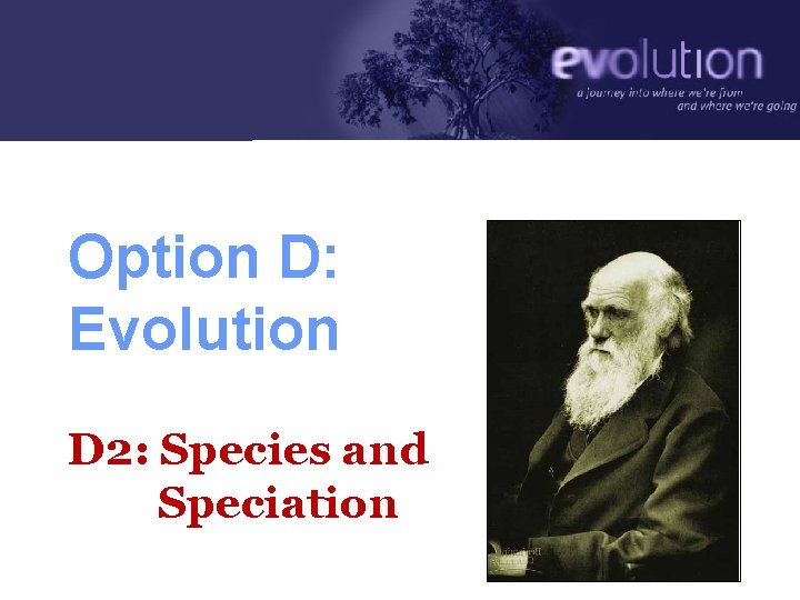 Option D: Evolution D 2: Species and Speciation 