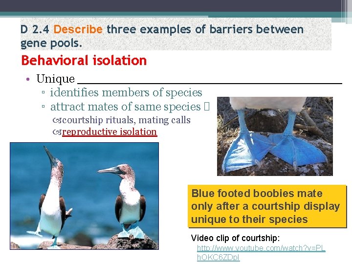 D 2. 4 Describe three examples of barriers between gene pools. Behavioral isolation •