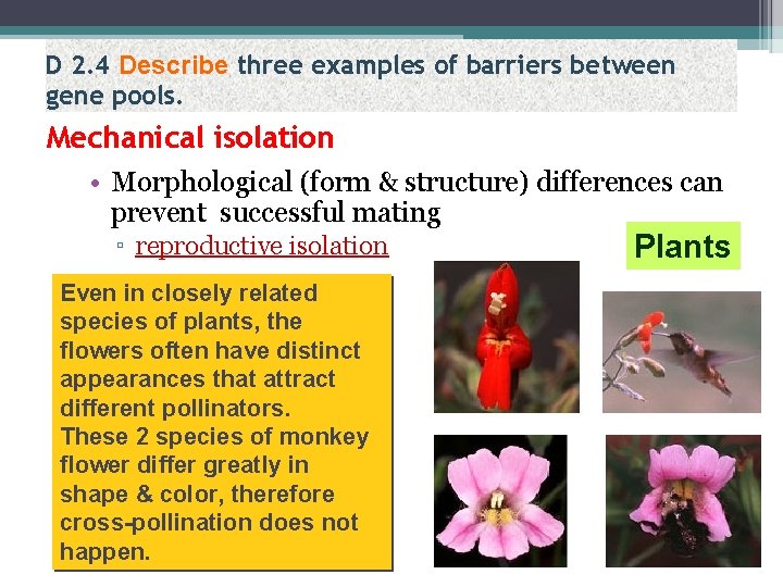 D 2. 4 Describe three examples of barriers between gene pools. Mechanical isolation •