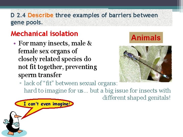 D 2. 4 Describe three examples of barriers between gene pools. Mechanical isolation •