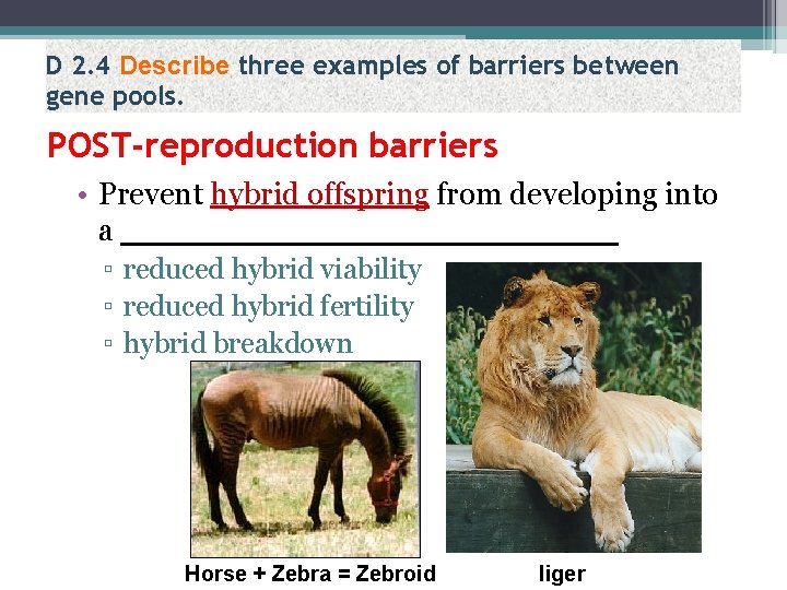 D 2. 4 Describe three examples of barriers between gene pools. POST-reproduction barriers •