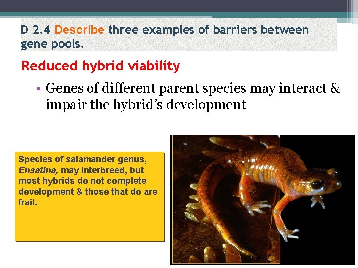 D 2. 4 Describe three examples of barriers between gene pools. Reduced hybrid viability