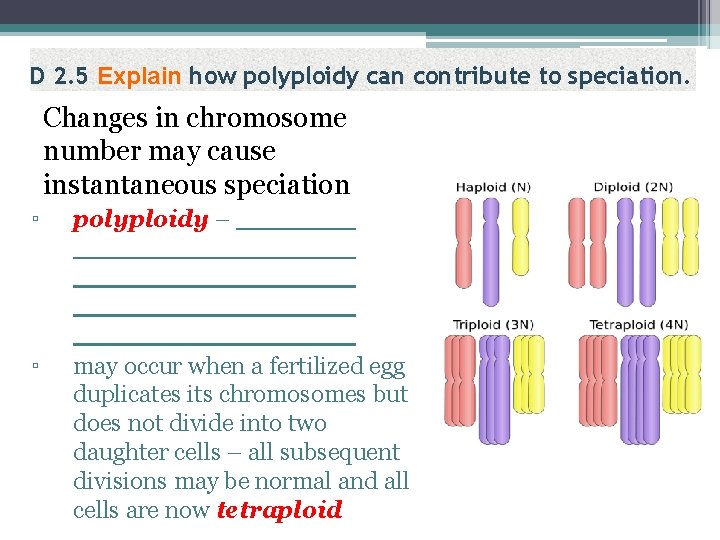 D 2. 5 Explain how polyploidy can contribute to speciation. Changes in chromosome number