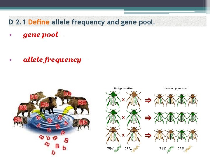 D 2. 1 Define allele frequency and gene pool. • gene pool – •