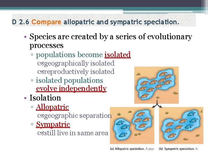 D 2. 6 Compare allopatric and sympatric speciation. • Species are created by a