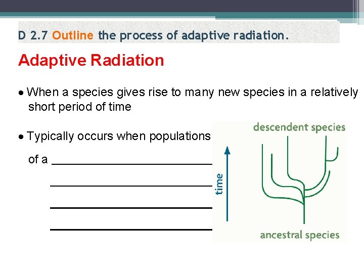 D 2. 7 Outline the process of adaptive radiation. Adaptive Radiation When a species