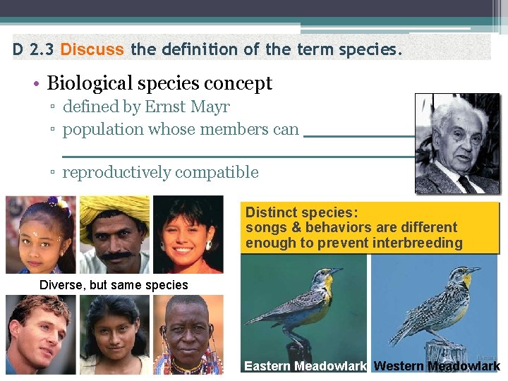 D 2. 3 Discuss the definition of the term species. • Biological species concept