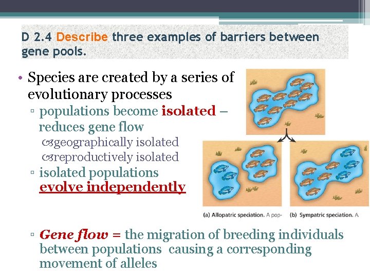 D 2. 4 Describe three examples of barriers between gene pools. • Species are