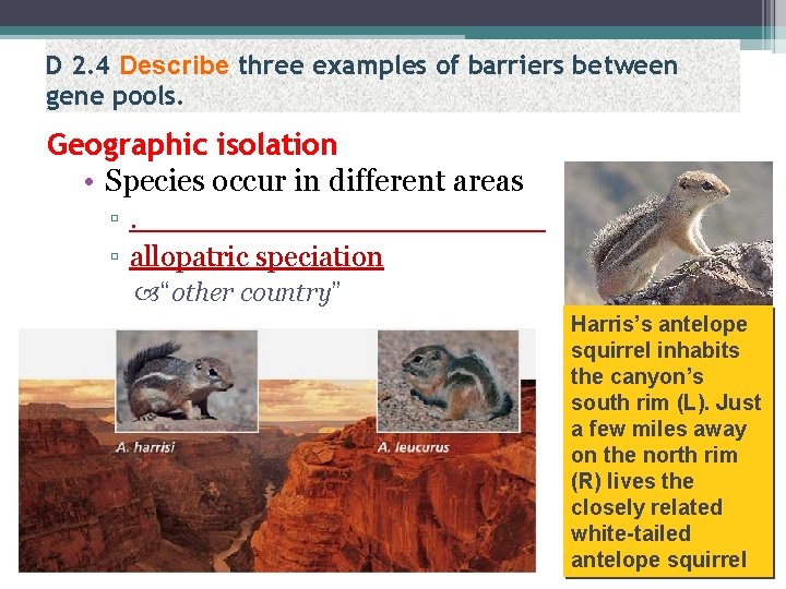 D 2. 4 Describe three examples of barriers between gene pools. Geographic isolation •