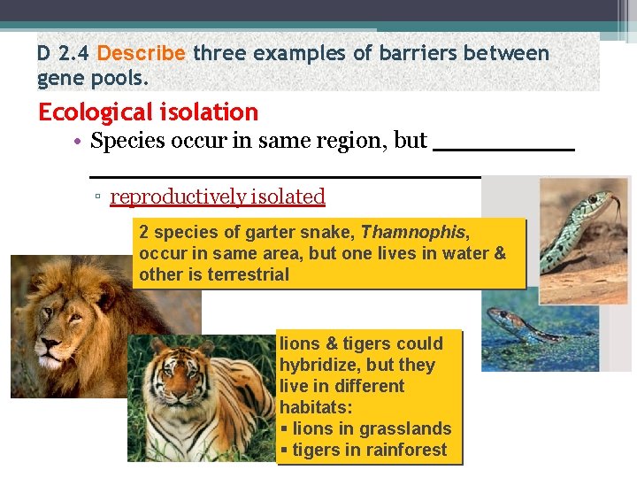 D 2. 4 Describe three examples of barriers between gene pools. Ecological isolation •