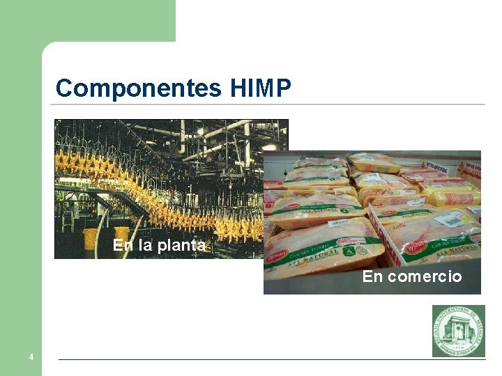 Componentes HIMP En la planta En comercio 4 Componentes HIMP En la planta En comercio 4