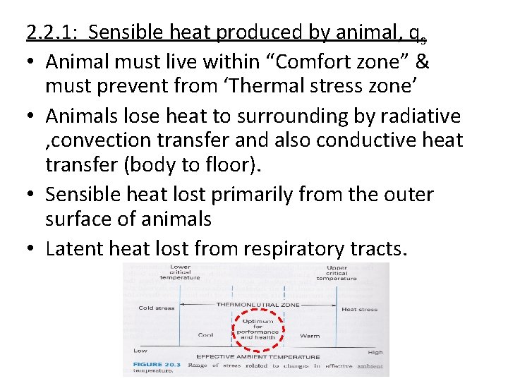 2. 2. 1: Sensible heat produced by animal, qs • Animal must live within