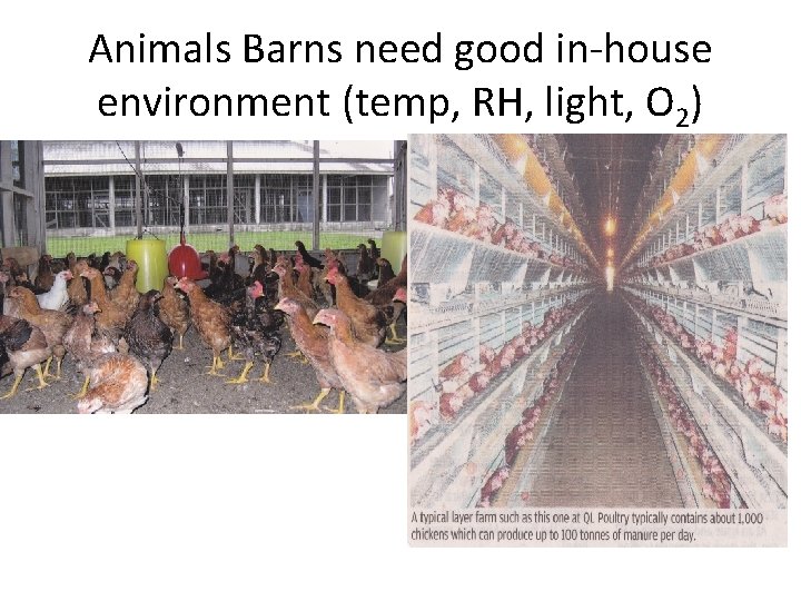 Animals Barns need good in-house environment (temp, RH, light, O 2) 