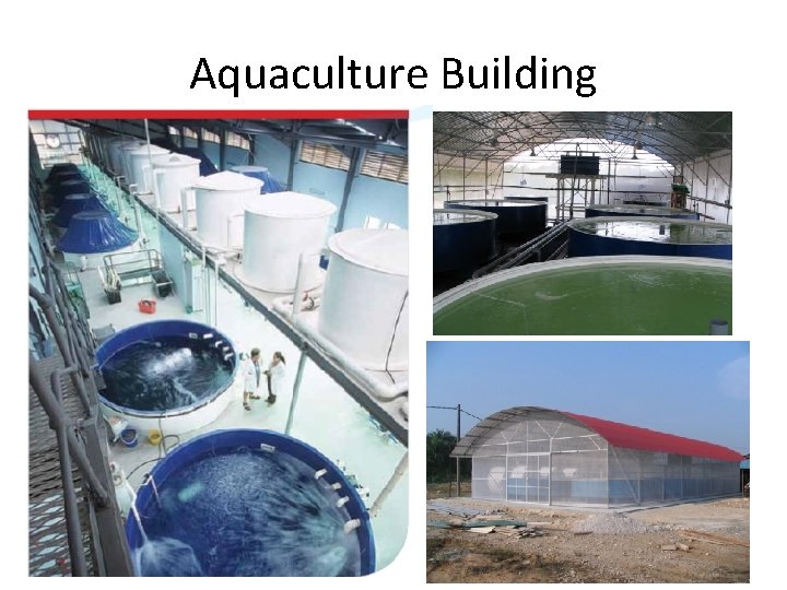 Aquaculture Building 