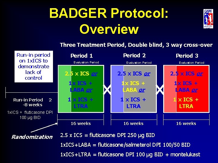 BADGER Protocol: Overview Three Treatment Period, Double blind, 3 way cross-over Run-in period on