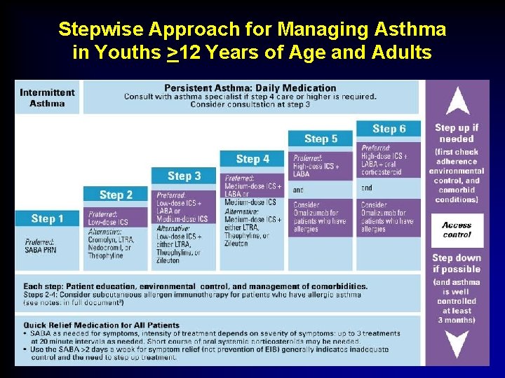 Stepwise Approach for Managing Asthma in Youths >12 Years of Age and Adults 
