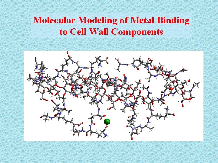 Molecular Modeling of Metal Binding to Cell Wall Components 