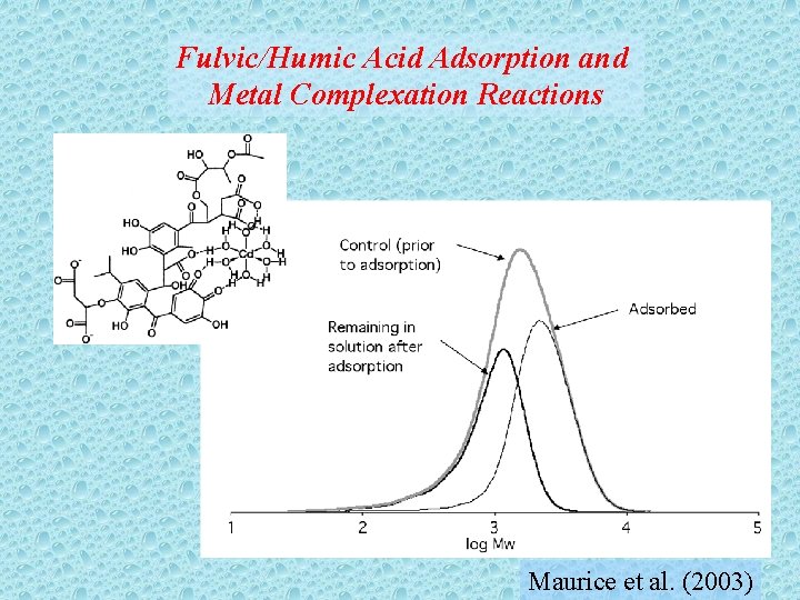 Fulvic/Humic Acid Adsorption and Metal Complexation Reactions Maurice et al. (2003) 