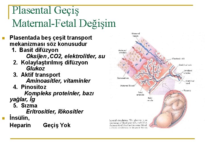 Plasental Geçiş Maternal-Fetal Değişim n n Plasentada beş çeşit transport mekanizması söz konusudur 1.