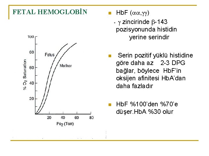 FETAL HEMOGLOBİN n Hb. F ( , ) - zincirinde -143 pozisyonunda histidin yerine