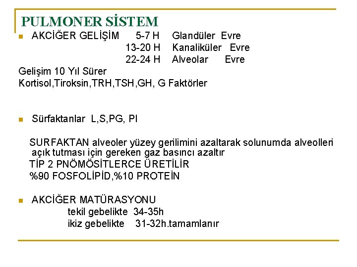PULMONER SİSTEM n AKCİĞER GELİŞİM 5 -7 H 13 -20 H 22 -24 H