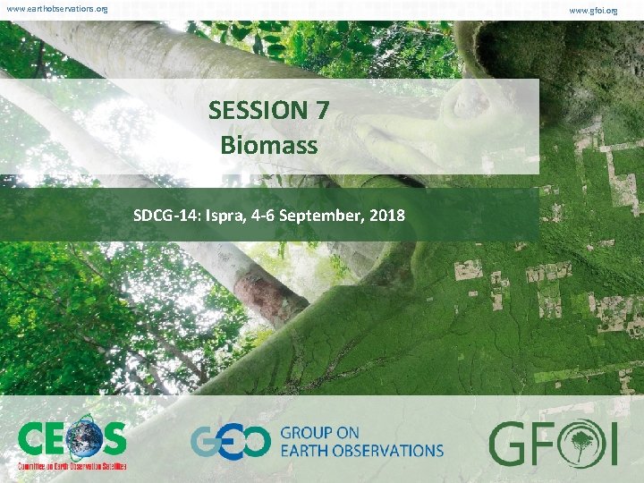 www. earthobservations. org www. gfoi. org SESSION 7 Biomass SDCG-14: Ispra, 4 -6 September,
