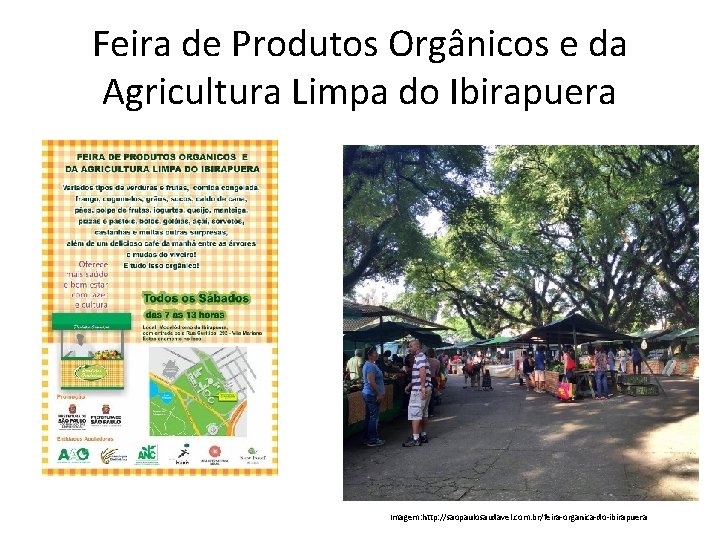Feira de Produtos Orgânicos e da Agricultura Limpa do Ibirapuera Imagem: http: //saopaulosaudavel. com.