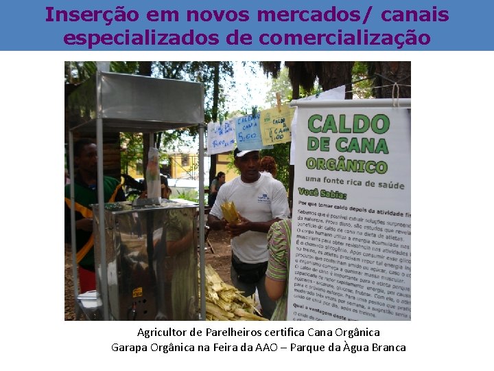 Inserção em novos mercados/ canais especializados de comercialização Agricultor de Parelheiros certifica Cana Orgânica