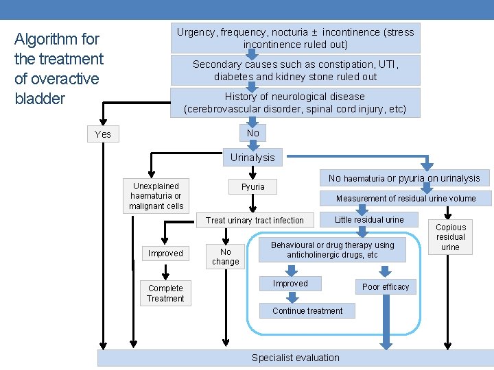 Algorithm for the treatment of overactive bladder Urgency, frequency, nocturia ± incontinence (stress incontinence