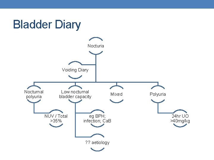 Bladder Diary Nocturia Voiding Diary Nocturnal polyuria Low nocturnal bladder capacity NUV / Total