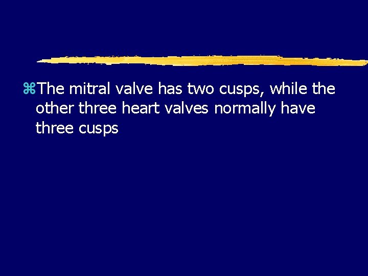 z. The mitral valve has two cusps, while the other three heart valves normally