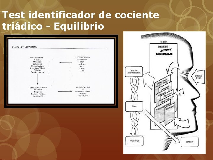 Test identificador de cociente triádico - Equilibrio 