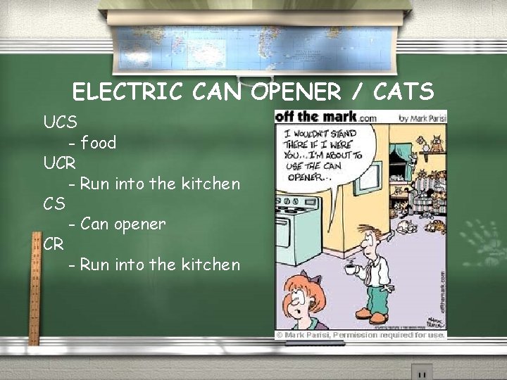 ELECTRIC CAN OPENER / CATS UCS - food UCR - Run into the kitchen