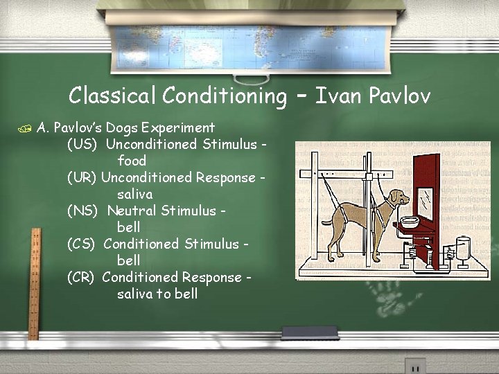 Classical Conditioning / A. Pavlov’s Dogs Experiment (US) Unconditioned Stimulus food (UR) Unconditioned Response