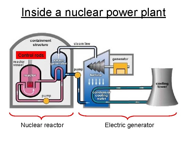 Inside a nuclear power plant Control rods Nuclear reactor Electric generator 