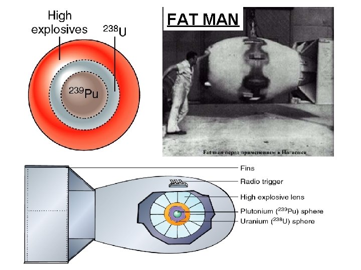 FAT MAN 