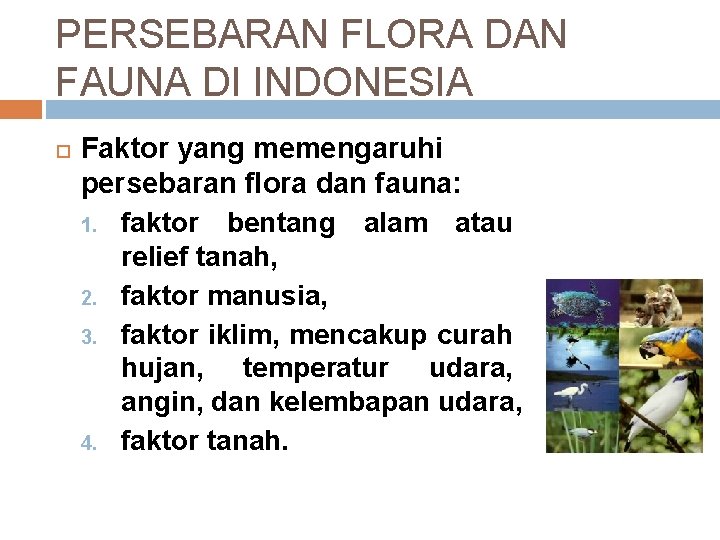 PERSEBARAN FLORA DAN FAUNA DI INDONESIA Faktor yang memengaruhi persebaran flora dan fauna: 1.