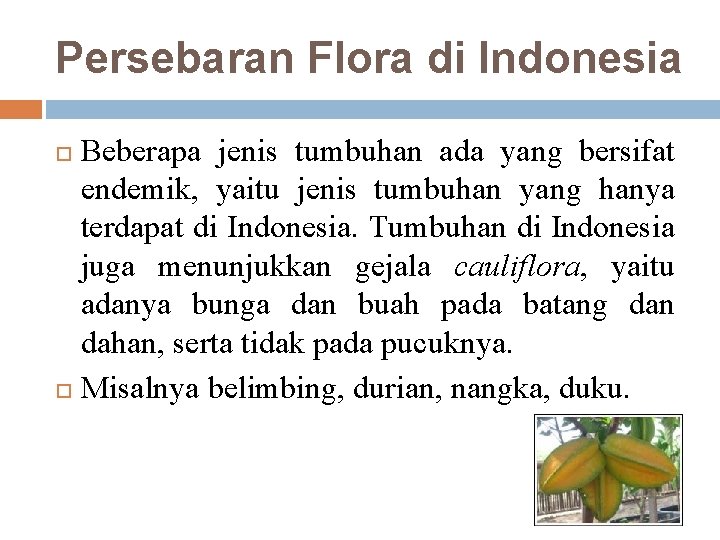 Persebaran Flora di Indonesia Beberapa jenis tumbuhan ada yang bersifat endemik, yaitu jenis tumbuhan