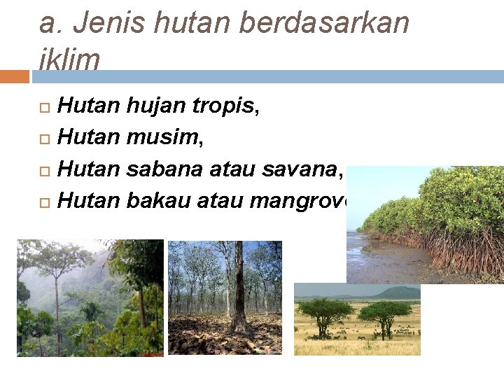 a. Jenis hutan berdasarkan iklim Hutan hujan tropis, Hutan musim, Hutan sabana atau savana,