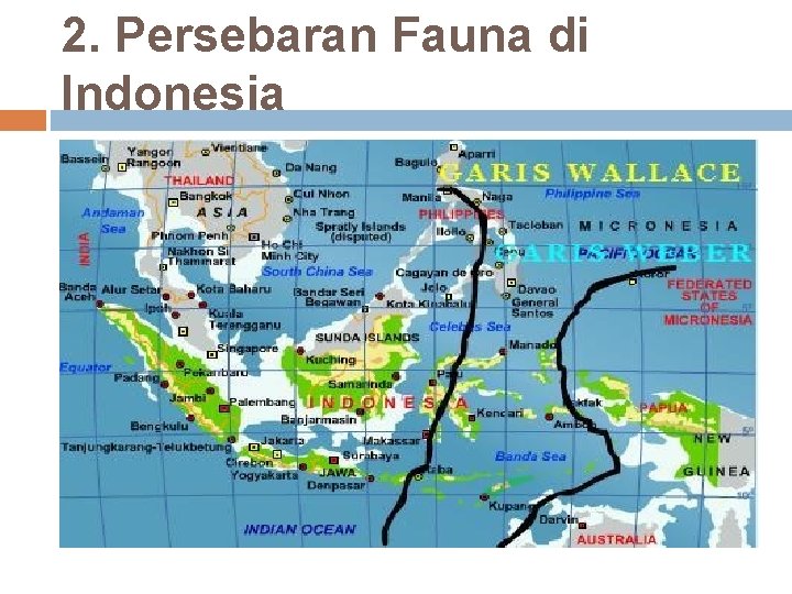 2. Persebaran Fauna di Indonesia 