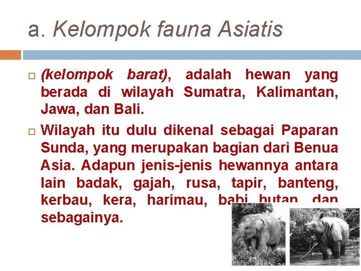 a. Kelompok fauna Asiatis (kelompok barat), adalah hewan yang berada di wilayah Sumatra, Kalimantan,