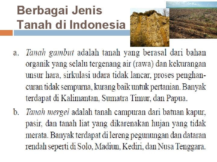 Berbagai Jenis Tanah di Indonesia 