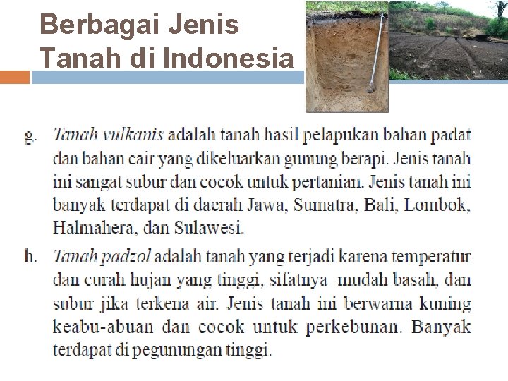 Berbagai Jenis Tanah di Indonesia 