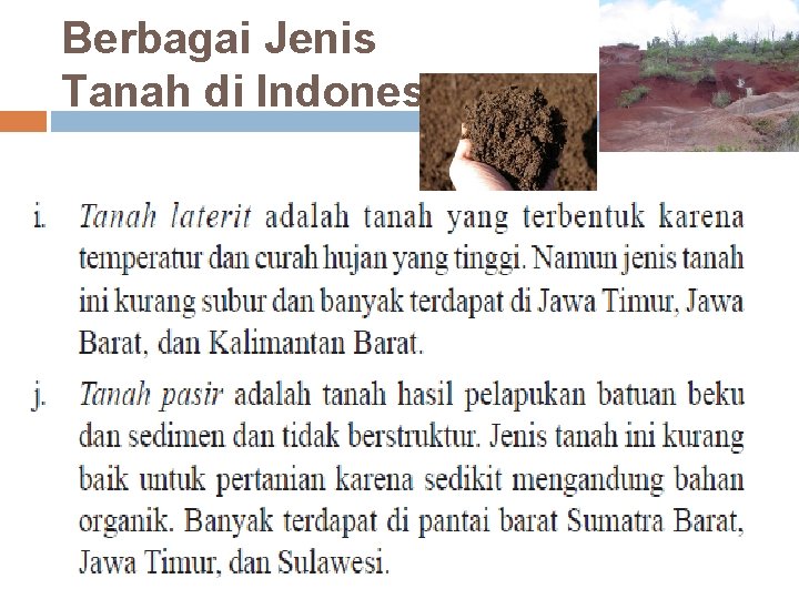 Berbagai Jenis Tanah di Indonesia 