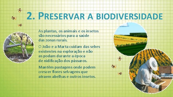 2. PRESERVAR A BIODIVERSIDADE As plantas, os animais e os insetos são necessários para