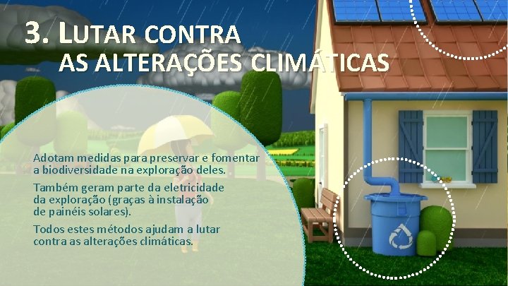 3. LUTAR CONTRA AS ALTERAÇÕES CLIMÁTICAS Adotam medidas para preservar e fomentar a biodiversidade