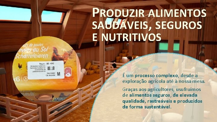 PRODUZIR ALIMENTOS SAUDÁVEIS, SEGUROS E NUTRITIVOS É um processo complexo, desde a exploração agrícola