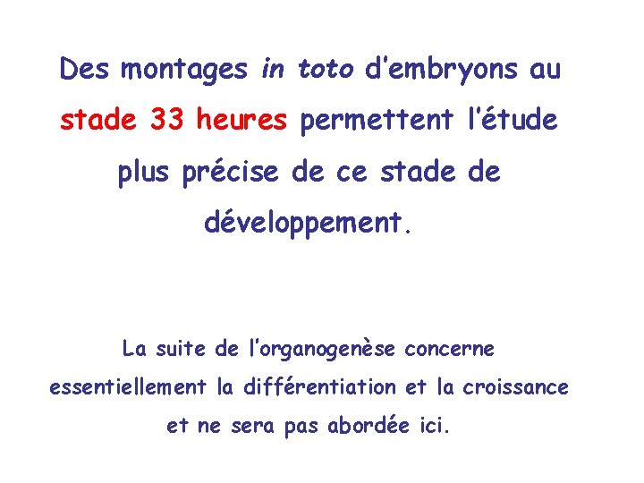 Des montages in toto d’embryons au stade 33 heures permettent l’étude plus précise de Des montages in toto d’embryons au stade 33 heures permettent l’étude plus précise de